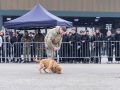 pr kleine brogel air base