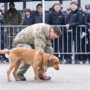 pr kleine brogel air base