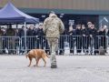 pr kleine brogel air base