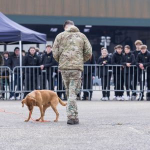 pr kleine brogel air base
