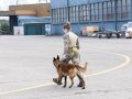 pr kleine brogel air base