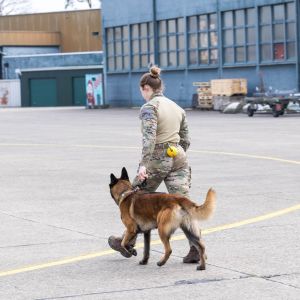 pr kleine brogel air base