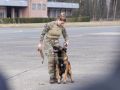 pr kleine brogel air base