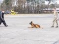 pr kleine brogel air base