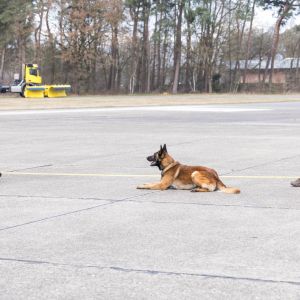 pr kleine brogel air base