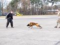 pr kleine brogel air base