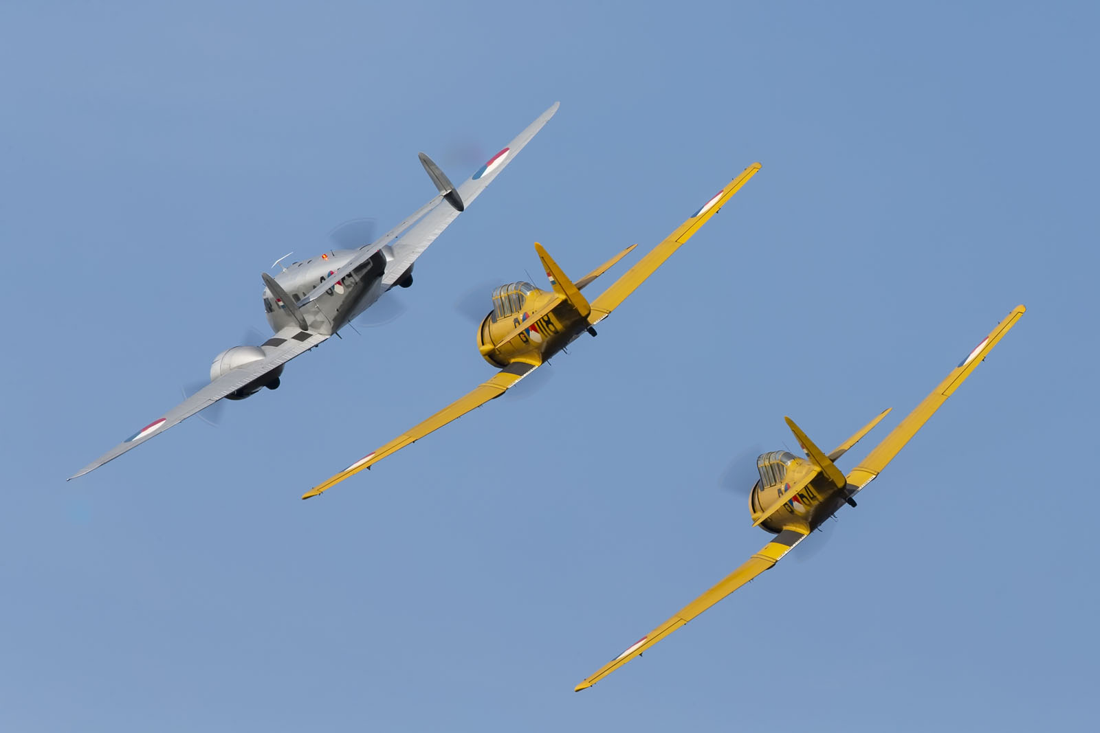 BAFdays 2018 Raf Verheyen 5