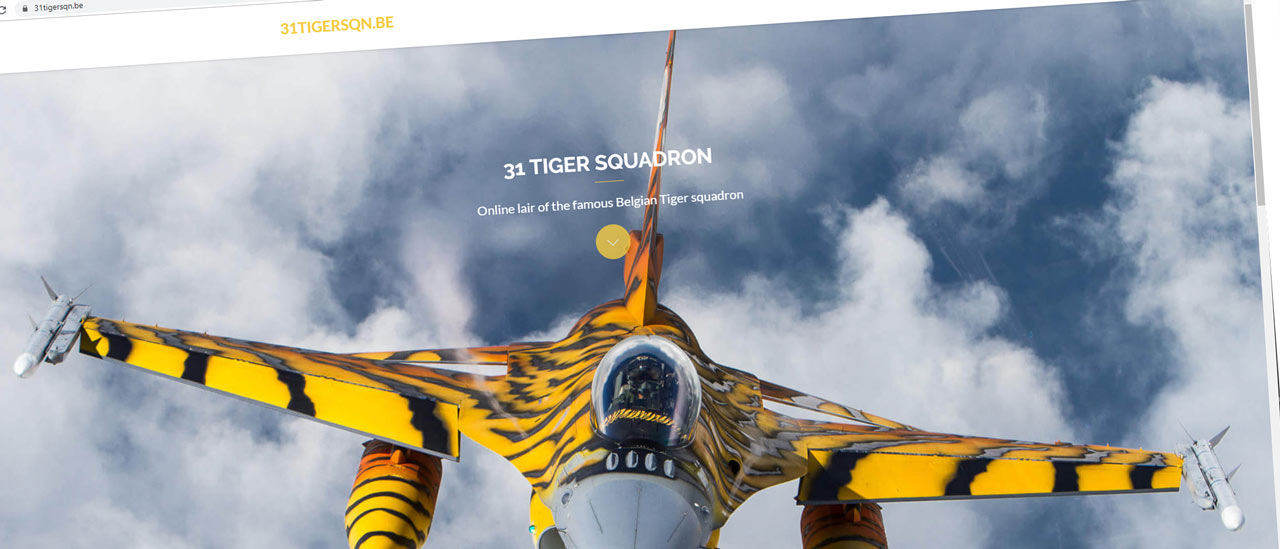 museum tiger 1