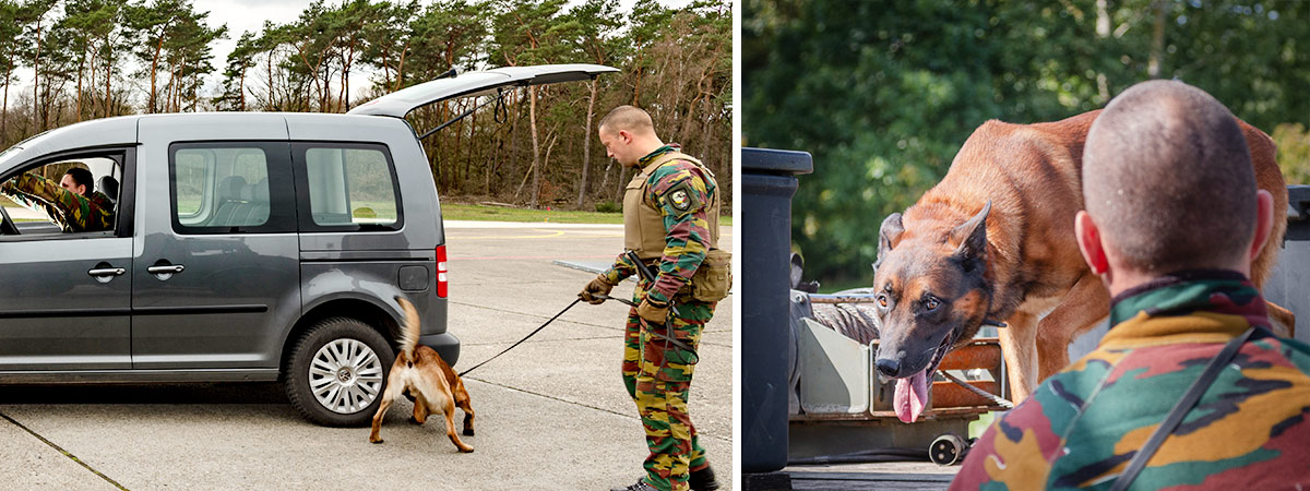 Verdegings Steungroep Tracking Dogs 