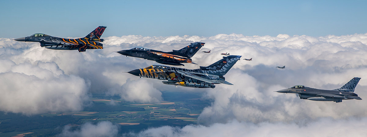 31 squadron story tigermeet